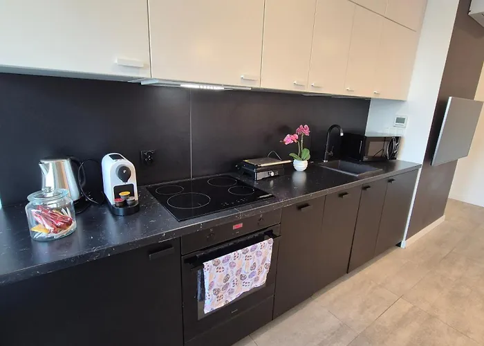 Towarowa 39 New York Apartment, Free Parking, Air-conditioning, Self Check-in 24h * بوزنان